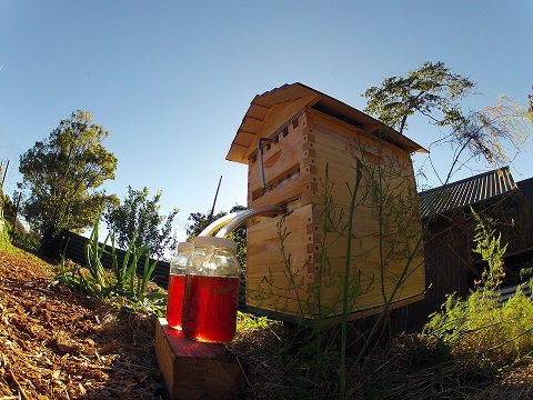 Revoluční úl, umožní vytočení medu bez otevřením úlů s minimálním rušením včel